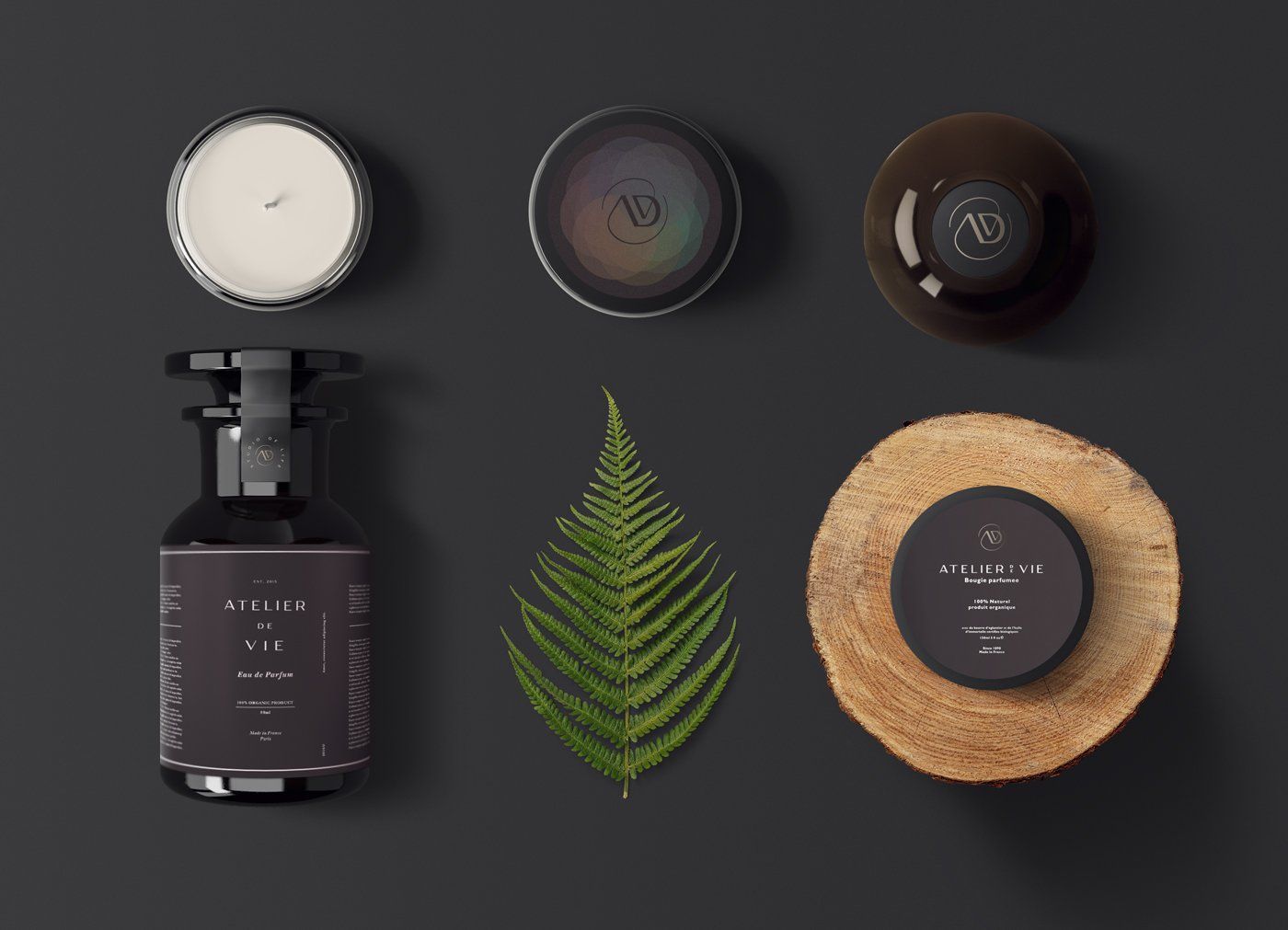 Assortment of luxury beauty products: candle, jar, fern, creams, on a dark gray surface.
