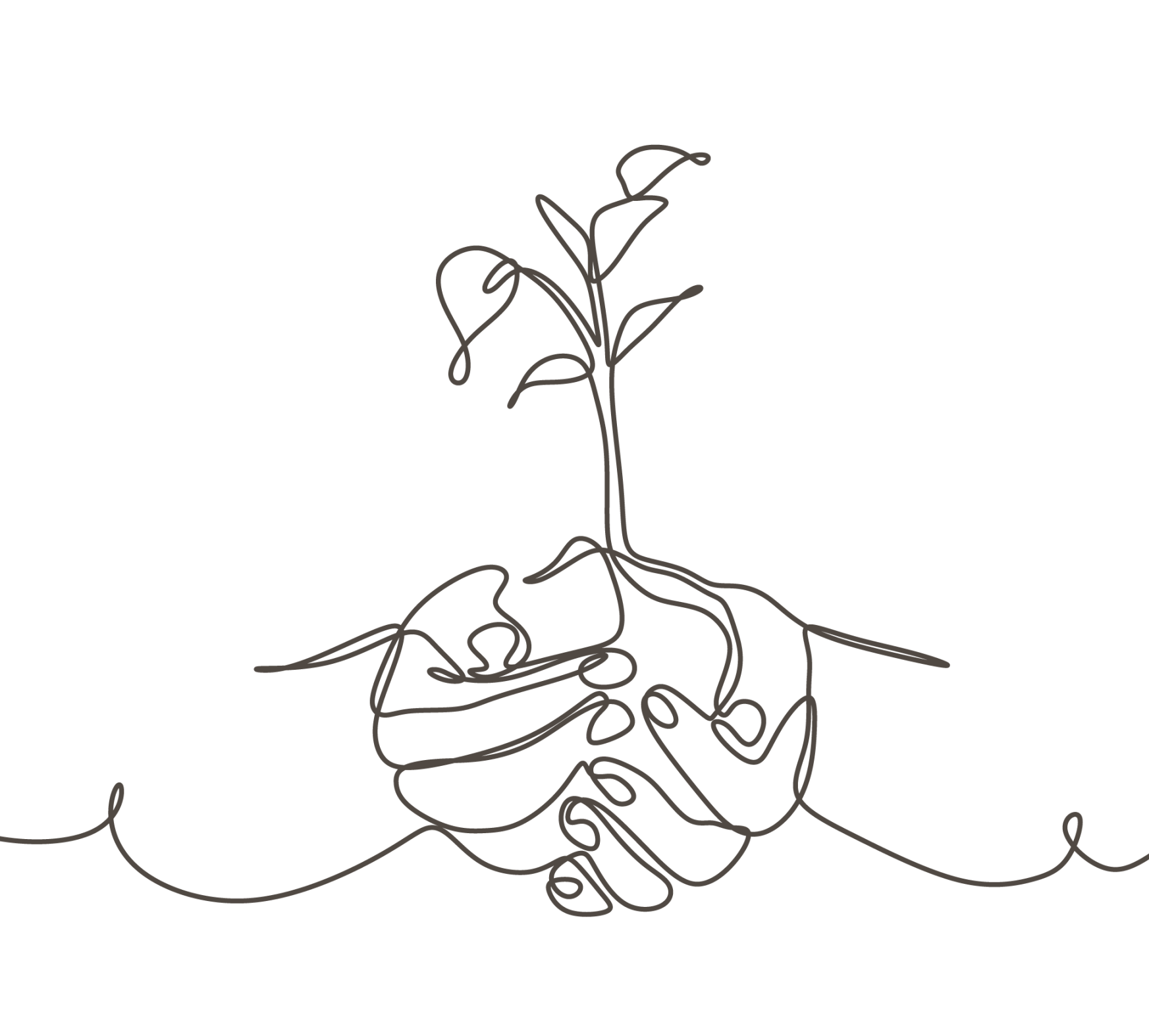 Two hands holding a growing plant, single continuous line drawing.