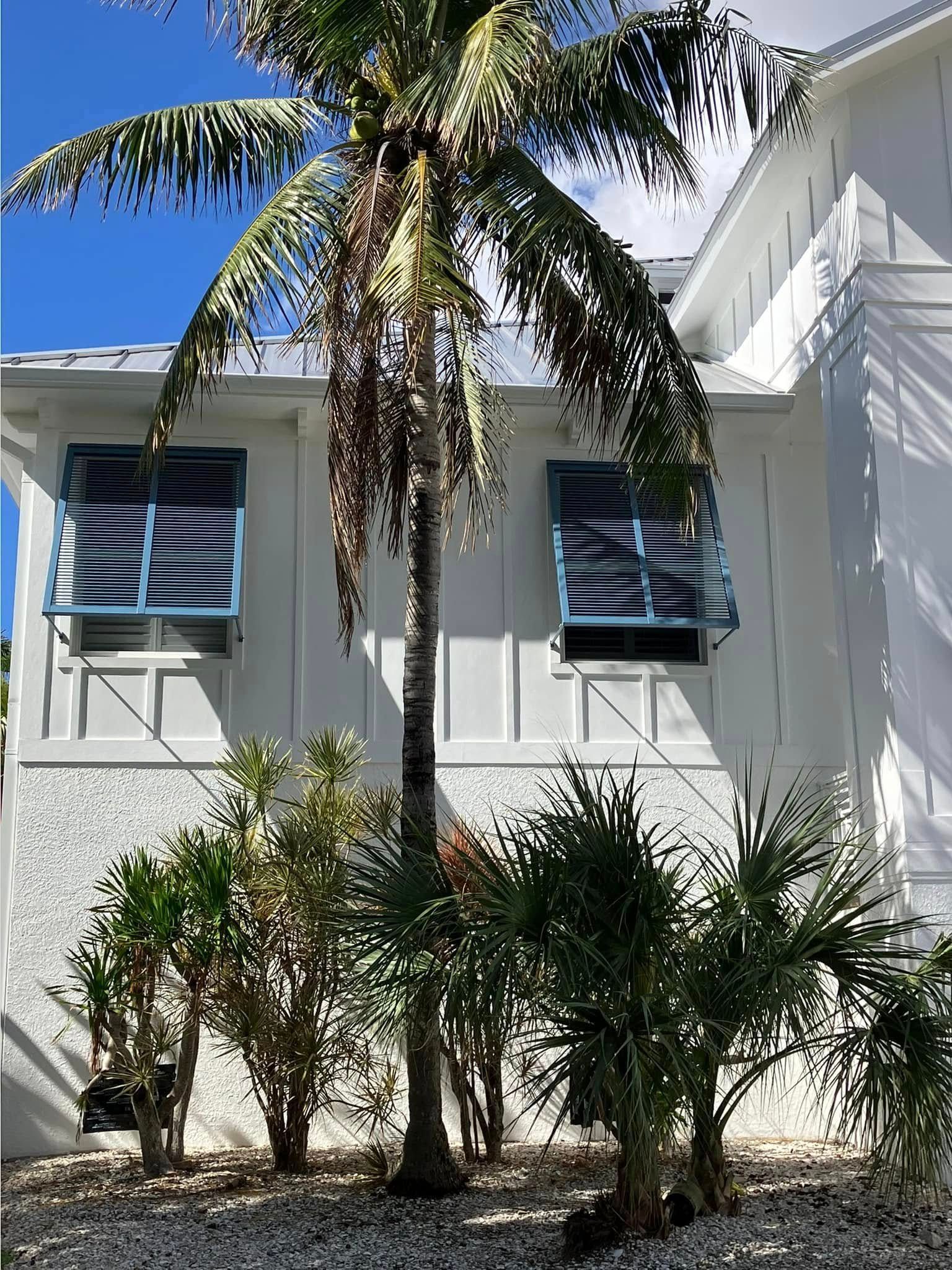 White house with blue shutters and palm trees in front under a clear sky