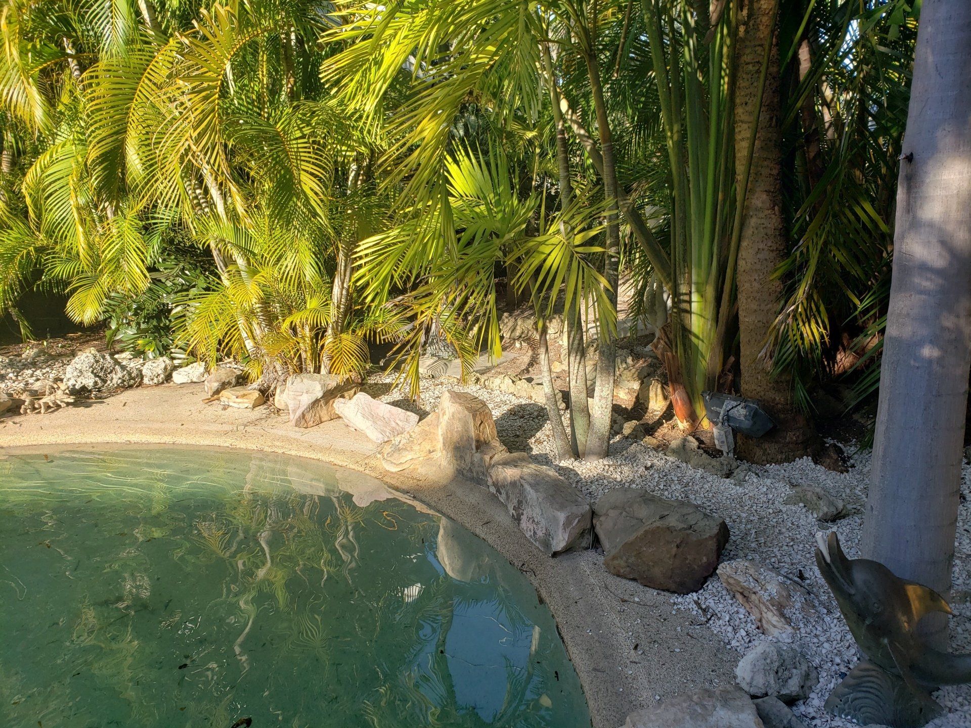 Landscaping on a Budget Sarasota