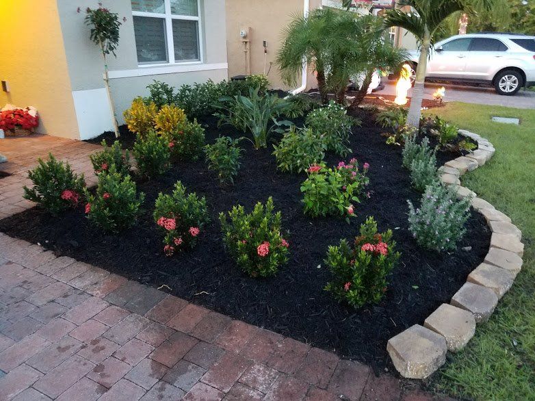 Landscape,Landscaping,Landscape Design,Affordable Landscaping,Flowers,Sod,Garden,Lawn Care,Landscaping on a Budget Sarasota