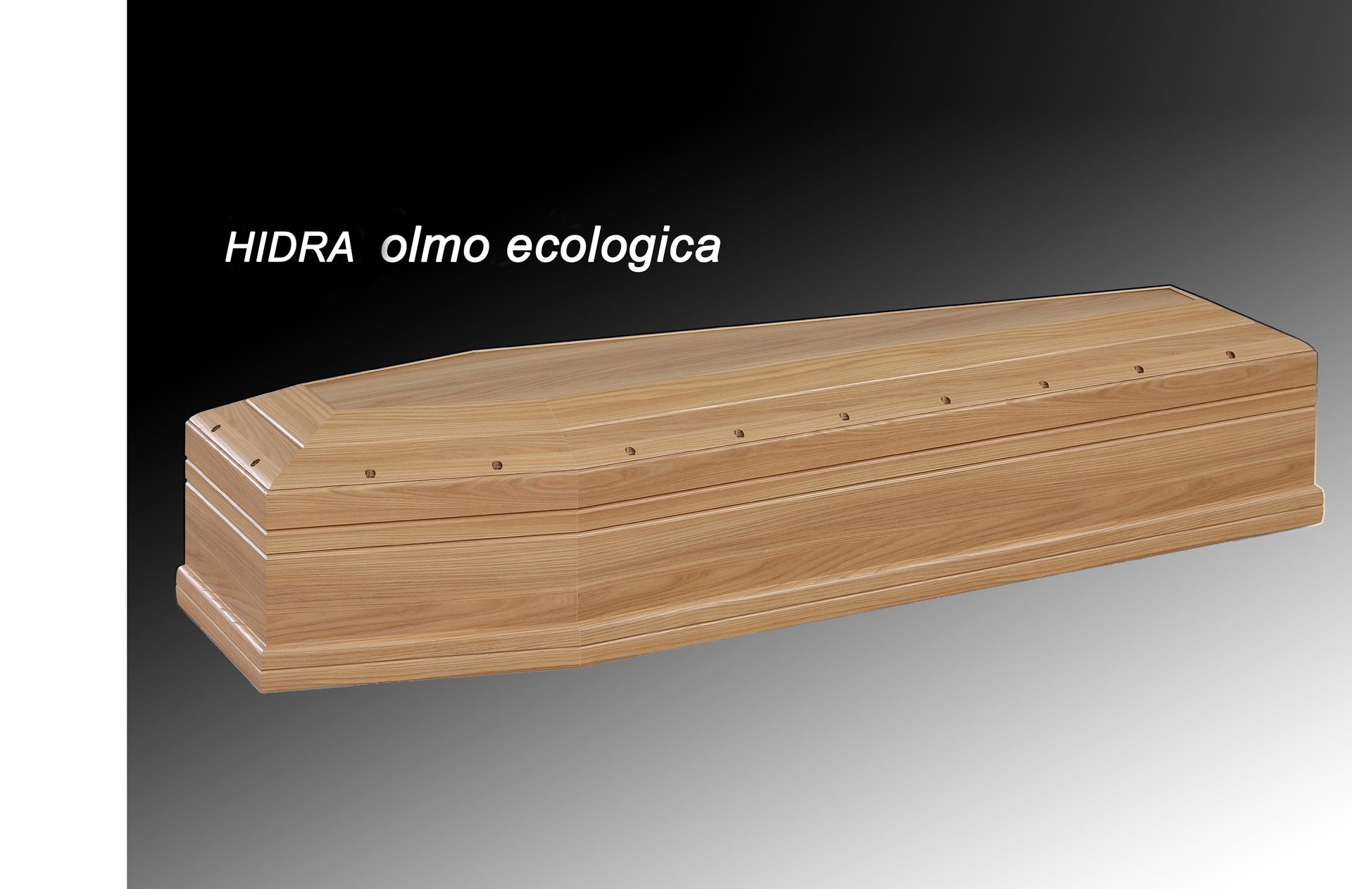 Cooperativa Onoranze Funebri Cinisello Balsamo - Cofani Funebri