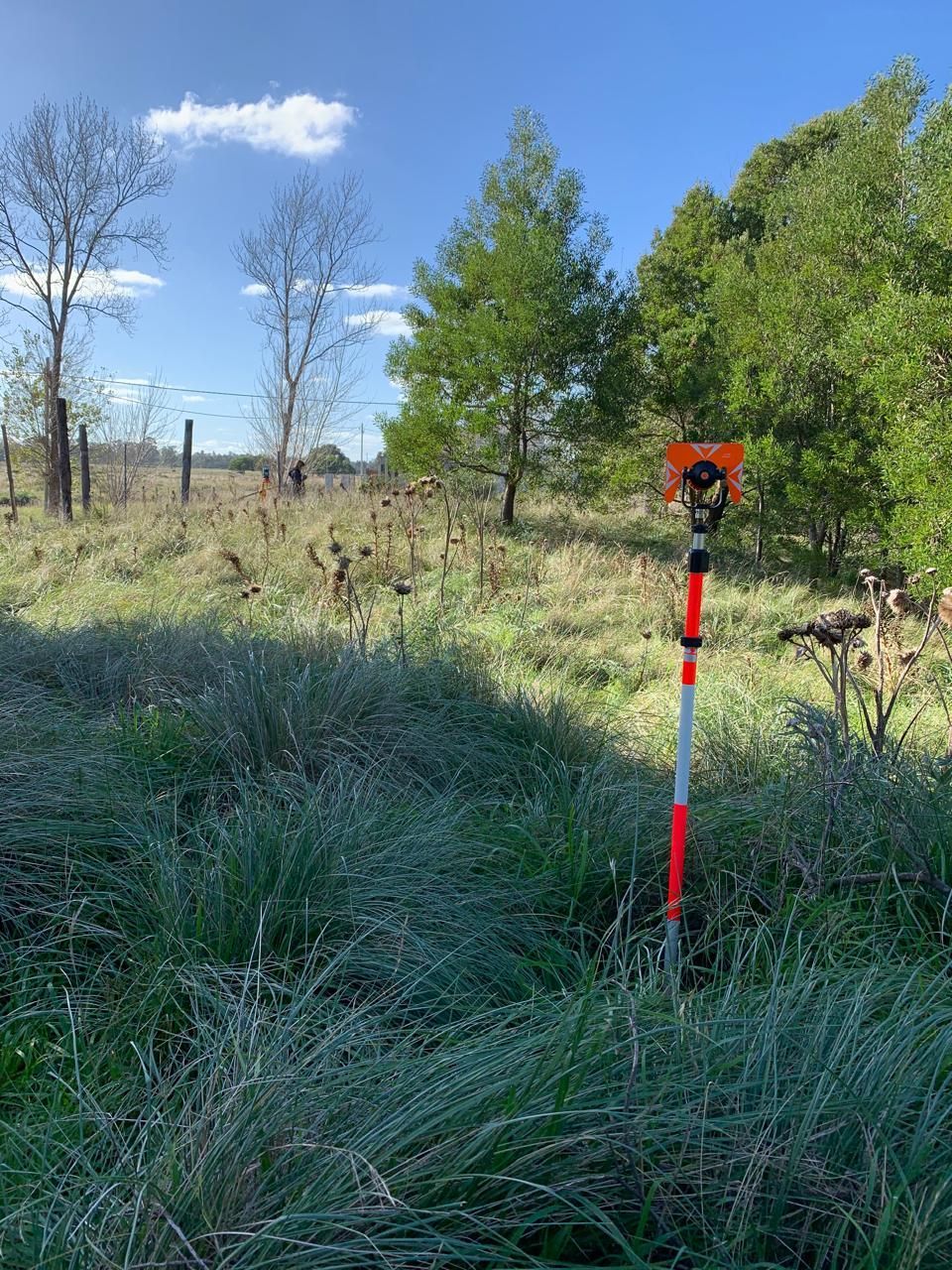 Estaca de agrimensura naranja en un campo de hierba con árboles y cielo azul al fondo.