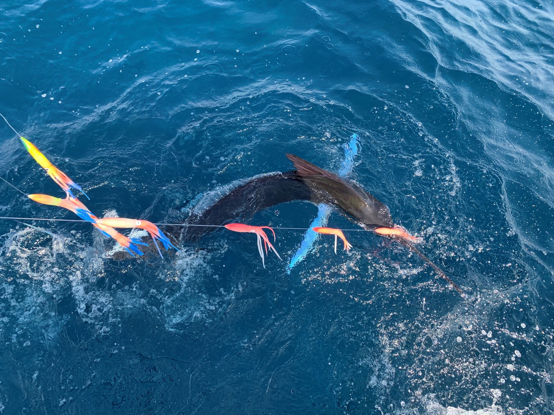 RI Marlin Fishing