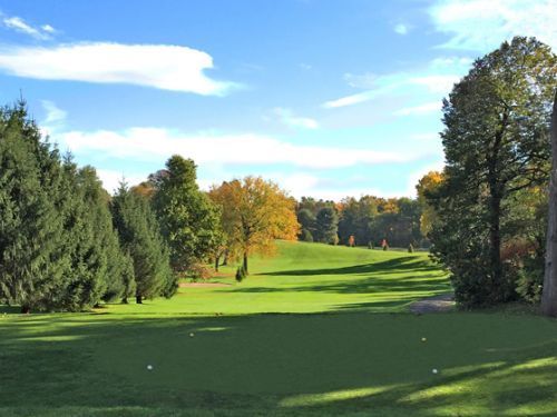 Green golf course with trees under a blue sky.