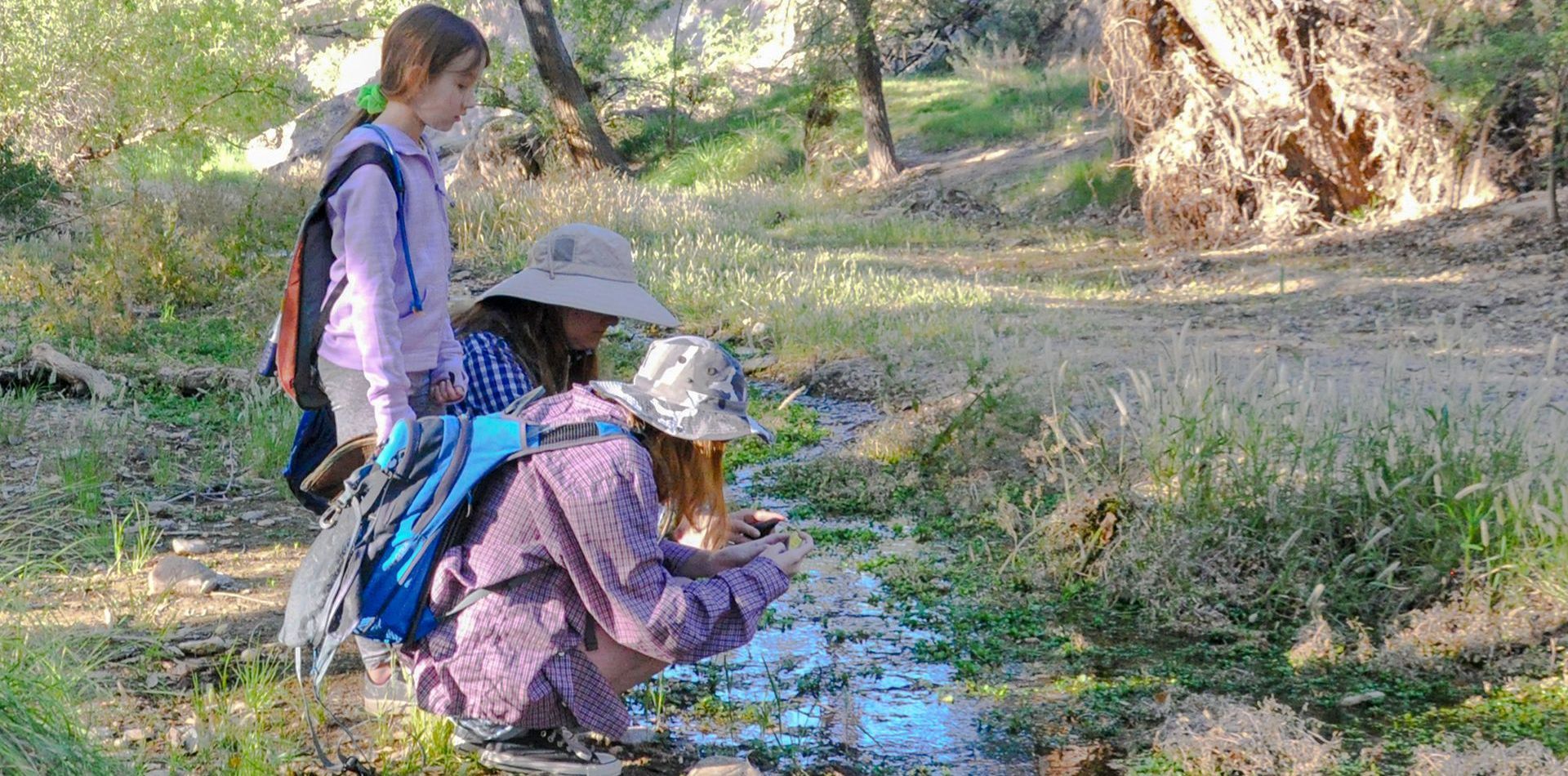 A woman and a child are looking at a stream in the woods.