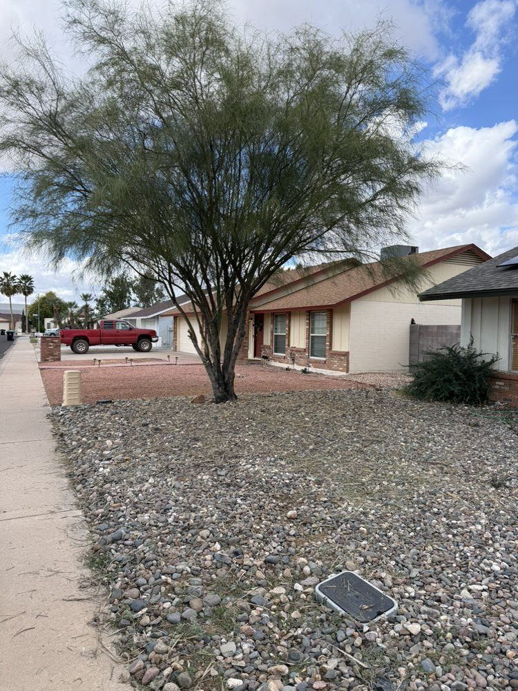 Desert front yard with a mesquite tree, gravel landscaping, and a single-story house under a cloudy sky
