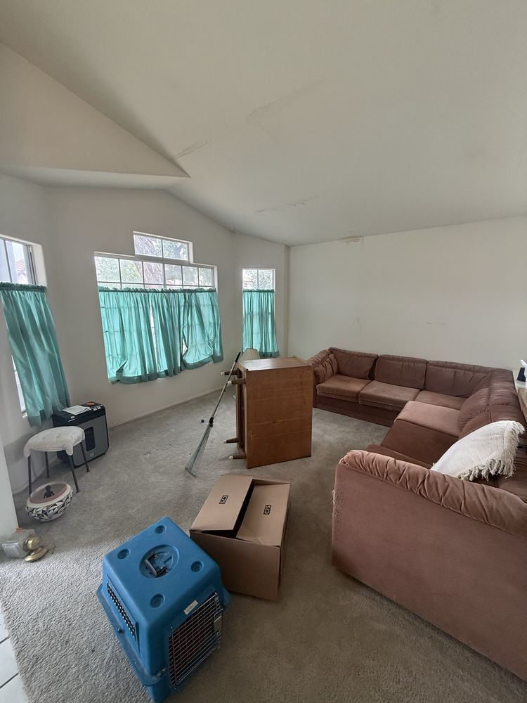 Cluttered living room with brown sectional sofa, blue pet carrier, boxes, and teal-curtained windows