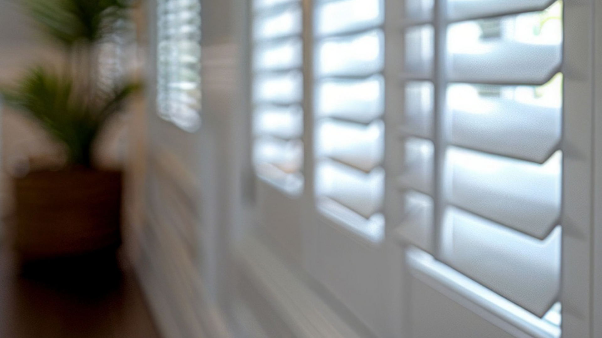 White window shutters with light streaming through, blurred houseplant in the background