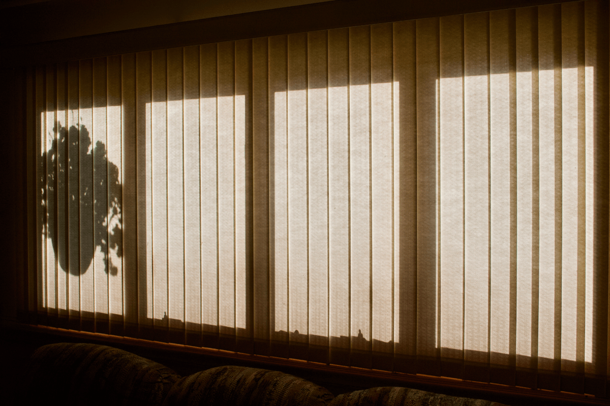 Sunlit living room window with sheer curtains and a dark plant shadow on the left