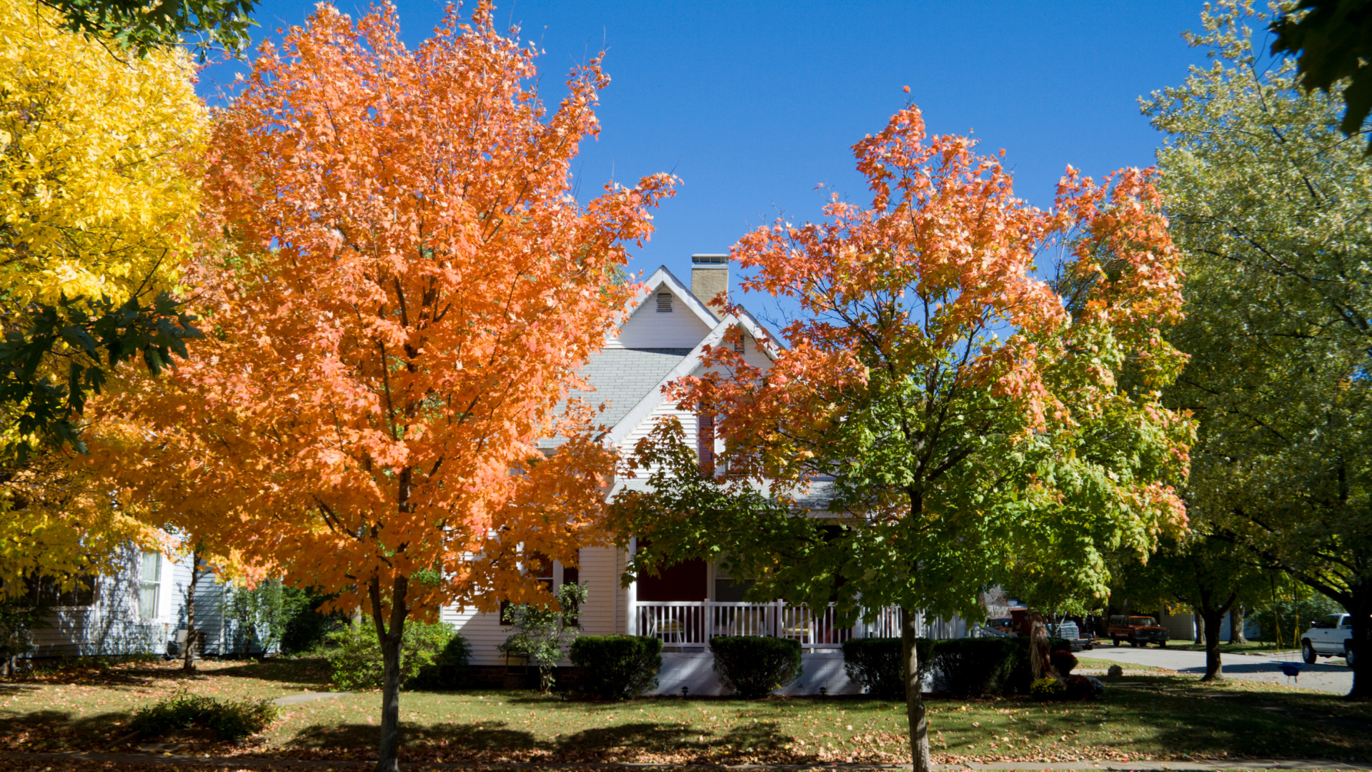 Autumn trees with orange and green leaves in front of a white house under a blue sky