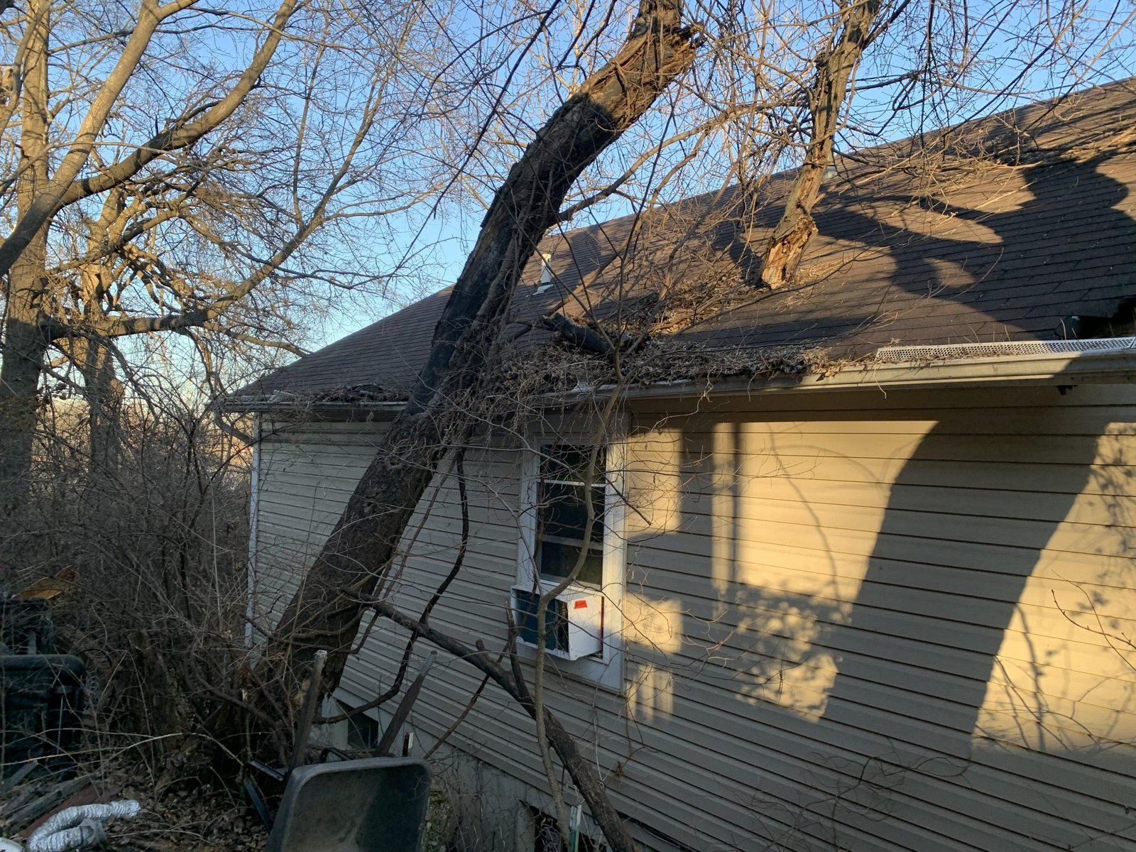 A tree has fallen on the side of a house.