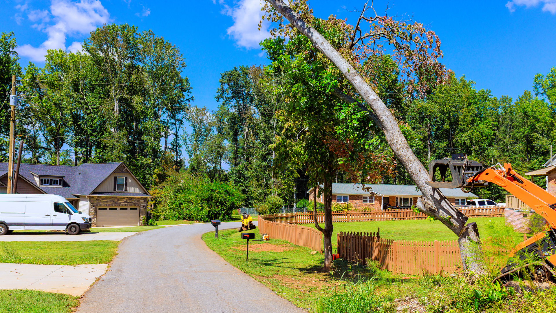 Suburban street with houses, parked van, trees, and a fallen tree leaning over a fenced yard