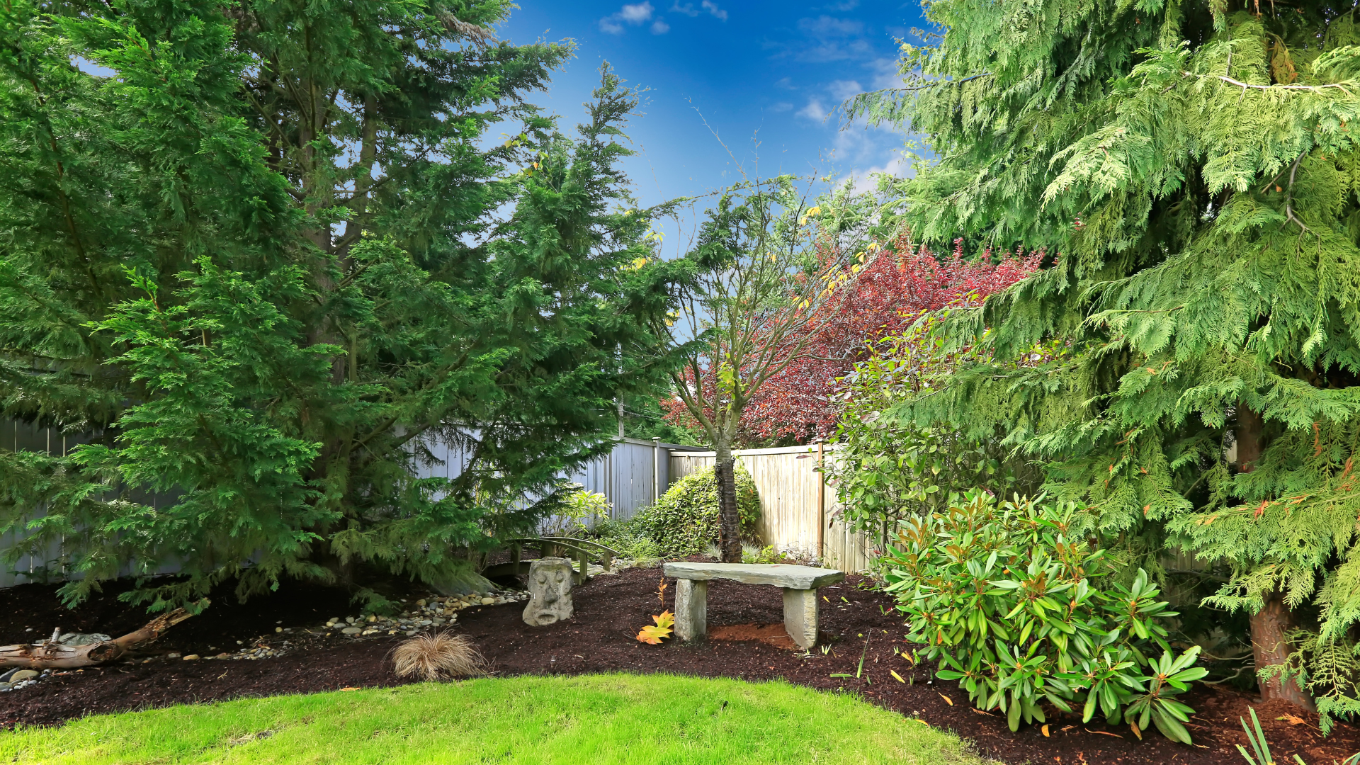 Lush backyard garden with tall green trees, red shrub, bright grass, and a white fence under a blue sky