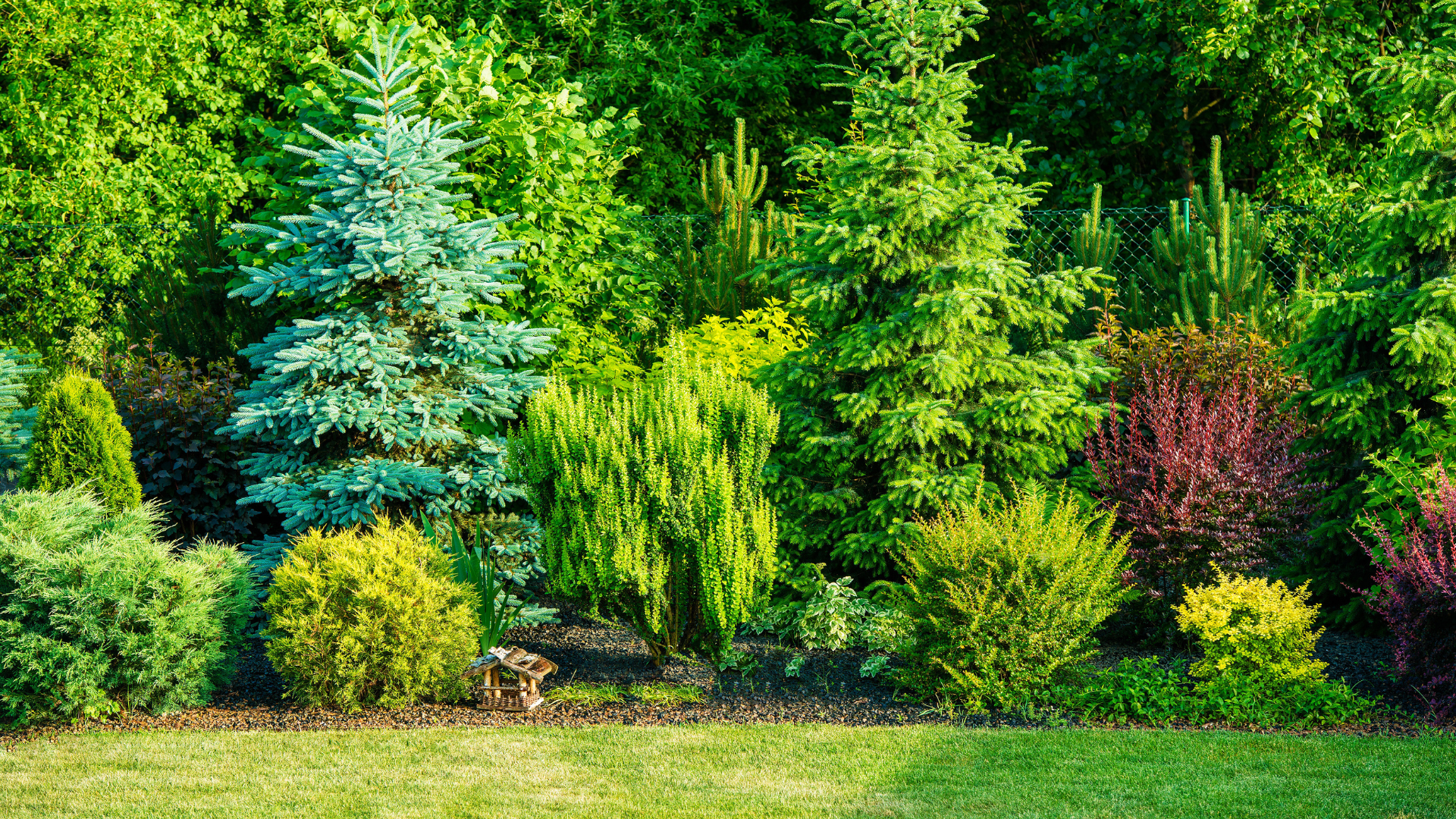 Lush garden with varied green shrubs and colorful trees under bright sunlight, bordered by a grassy lawn