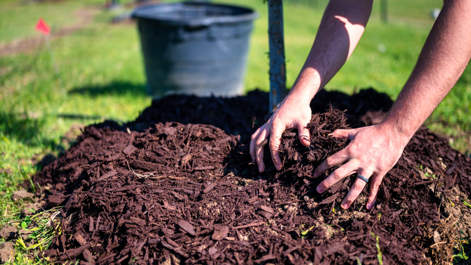 Hands mixing dark soil in a garden with a compost bin in the background