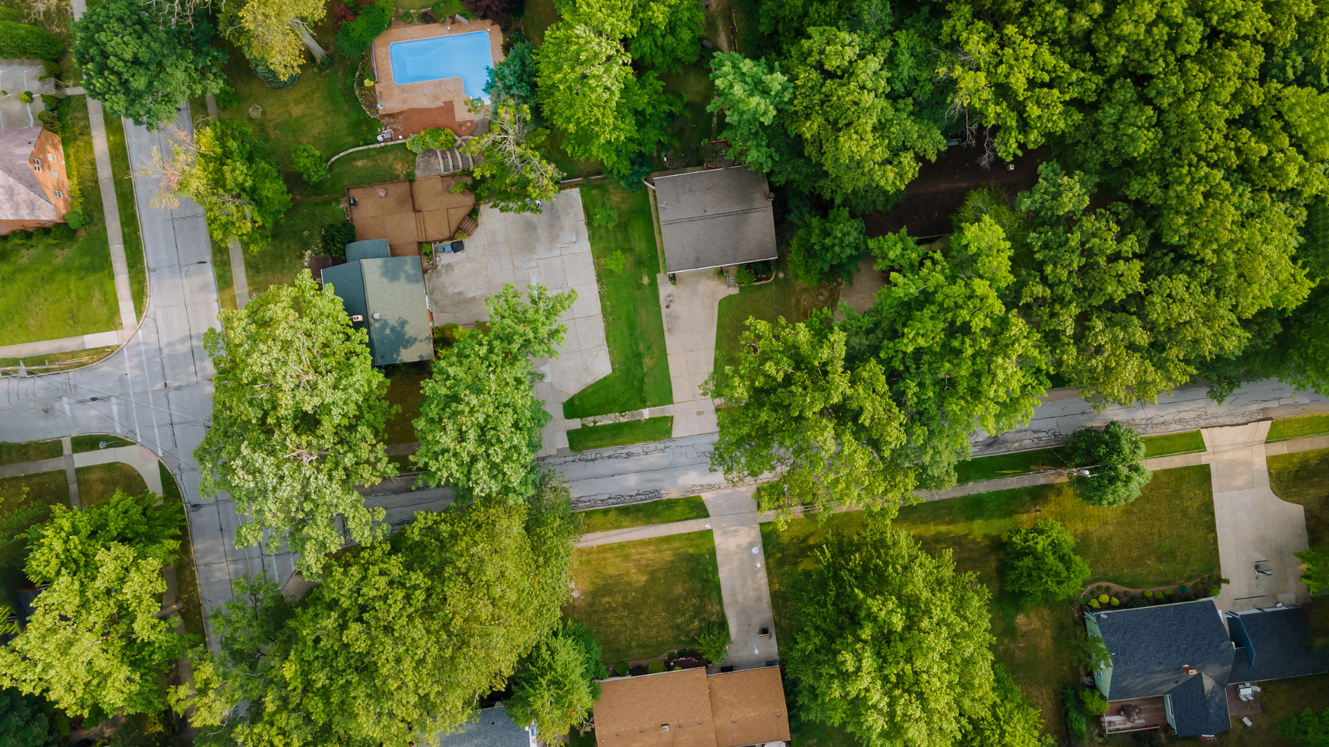 Aerial view of a leafy neighborhood with houses, roads, and a blue swimming pool amid dense trees