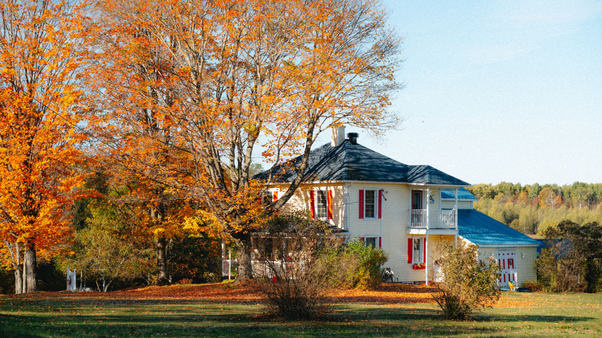 White house with blue roof beside bright orange autumn trees under a clear sky