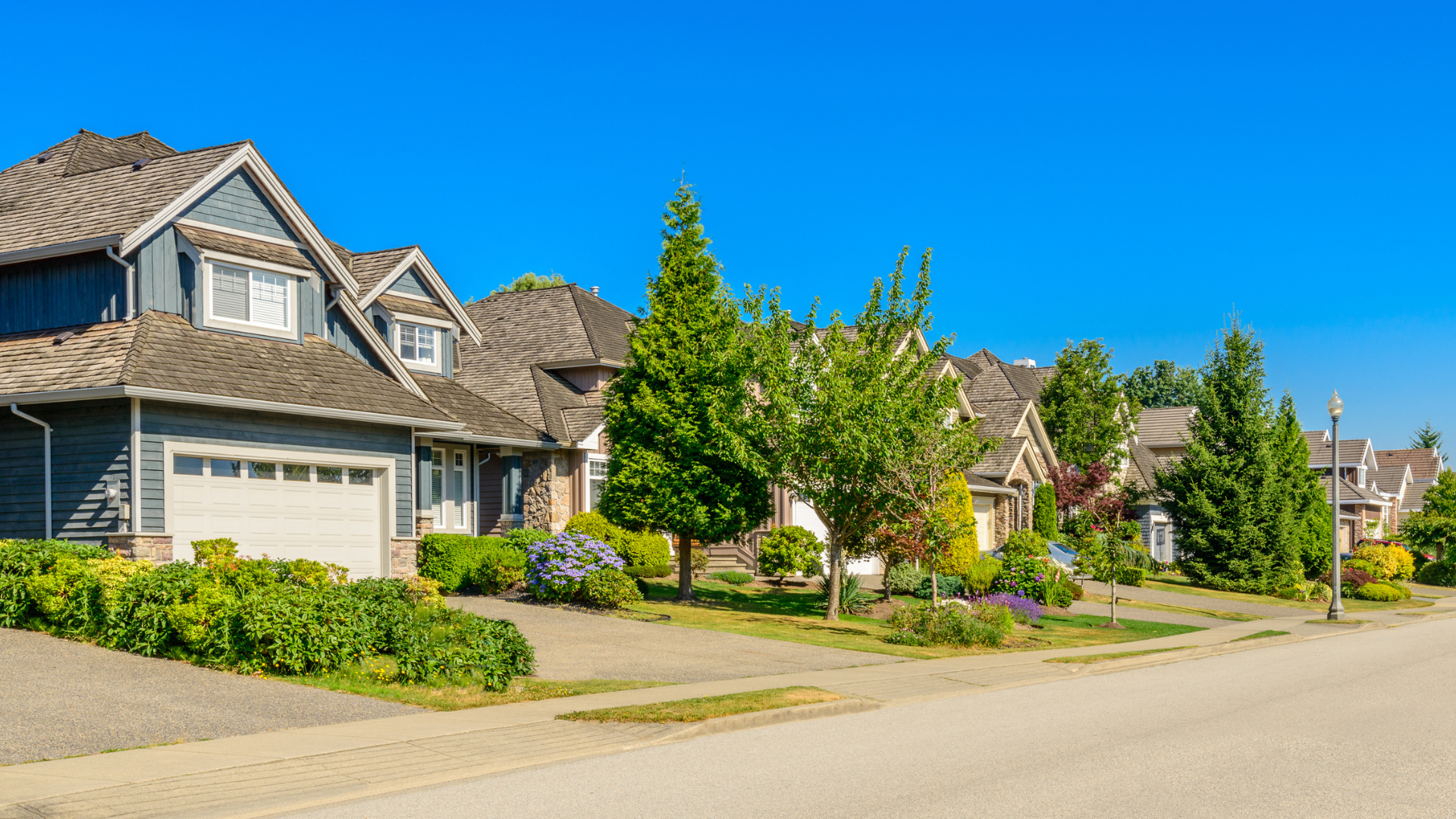 Suburban houses along a quiet street on a sunny day, with green trees and manicured lawns.
