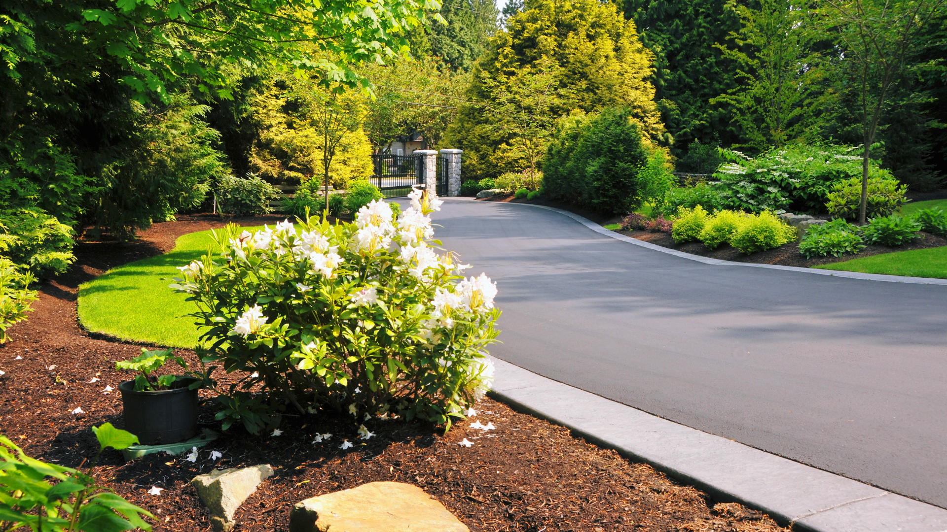 Curved paved road through a lush green garden with flowering shrubs and trees