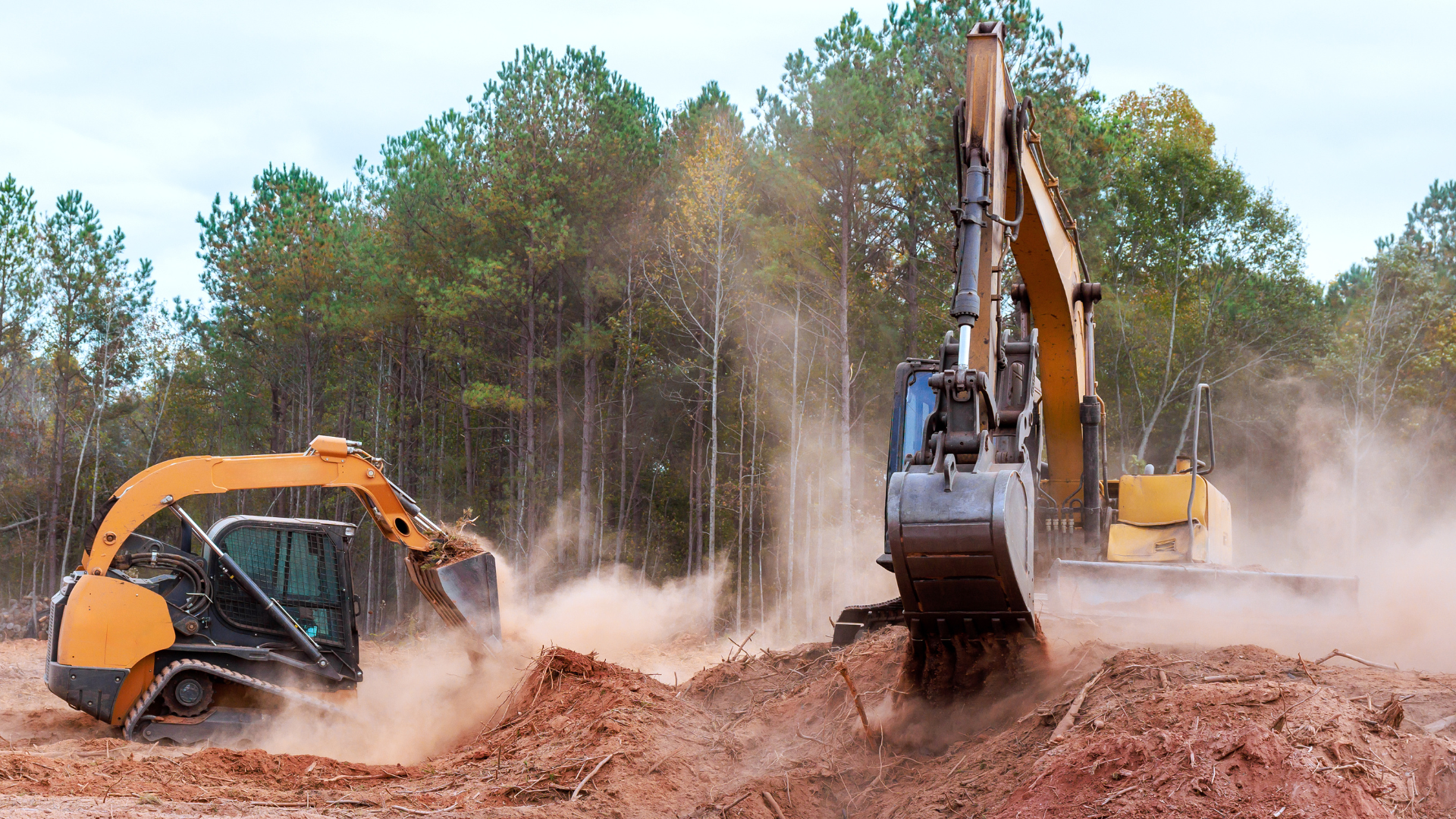 vulnerable trees during construction activities