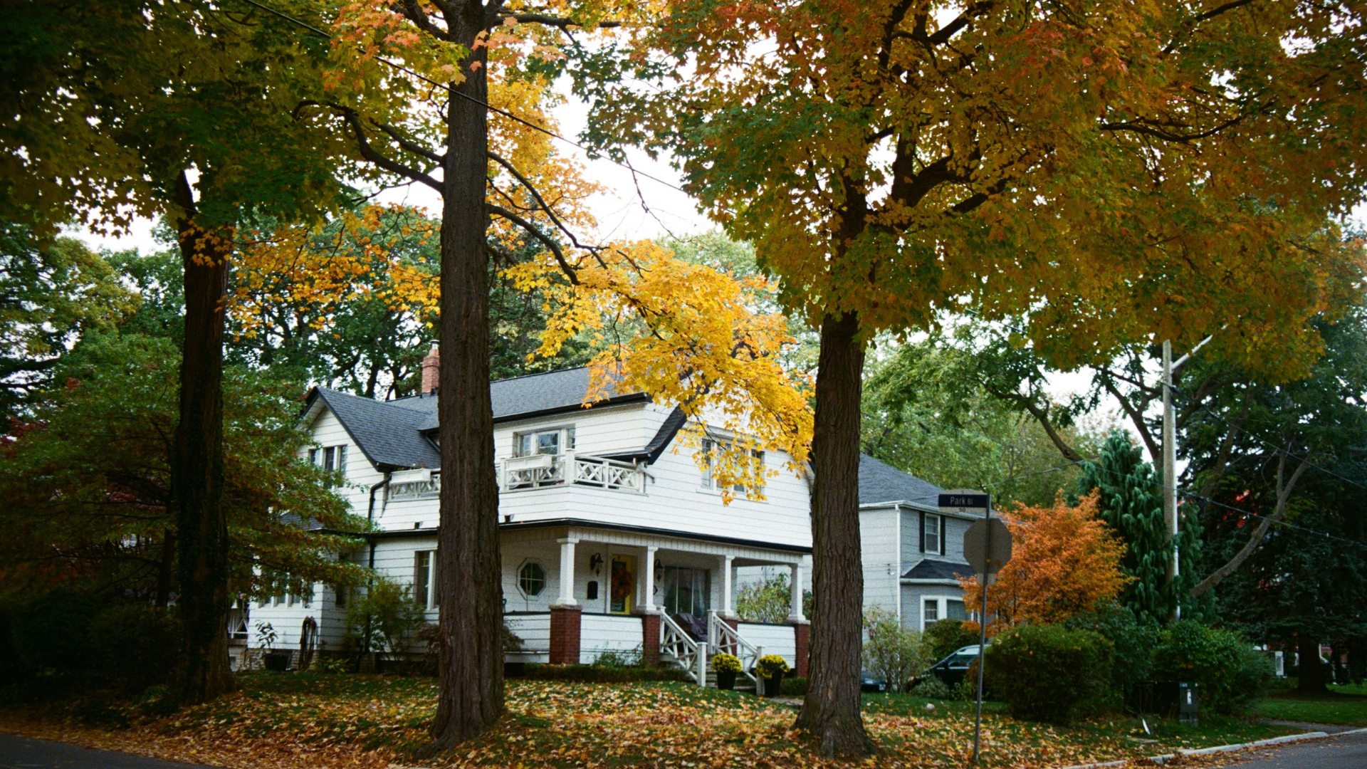 White house with porch among autumn trees and fallen leaves on a quiet residential street