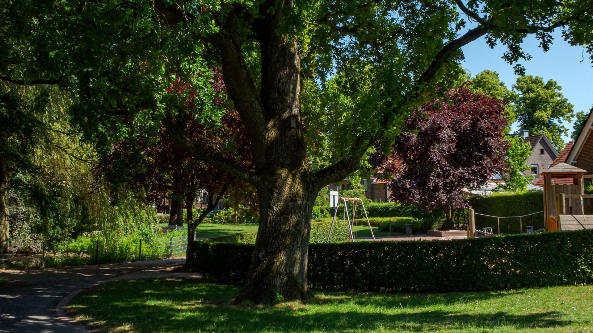 Shaded park with large trees, a grassy lawn, and a hedge-lined path on a sunny day