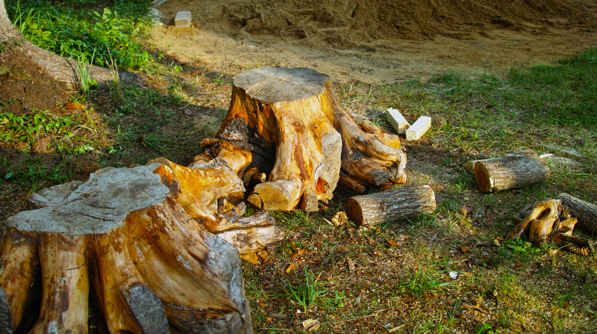 A pile of tree stumps sitting on top of a lush green field.