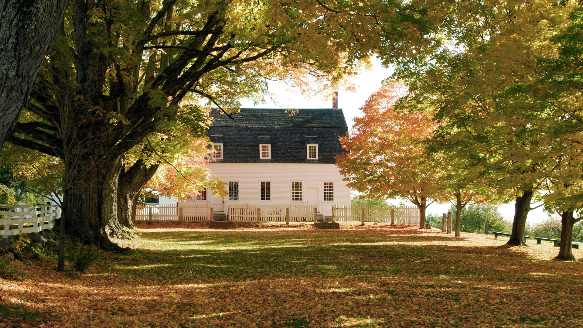 White house with dark roof under autumn trees, covered in fallen leaves in a peaceful yard