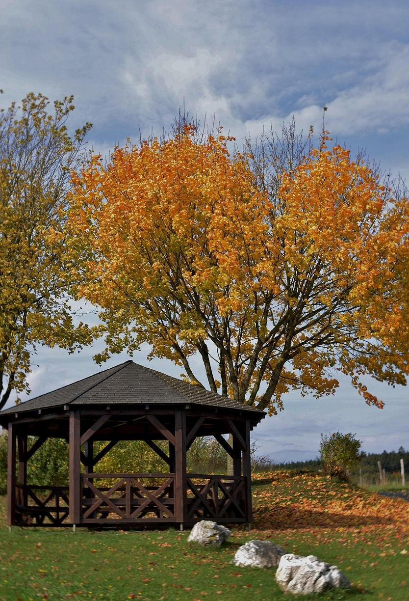 Gazebo in a park with an autumn tree, vibrant orange and yellow leaves, rocks in front, under a cloudy sky.