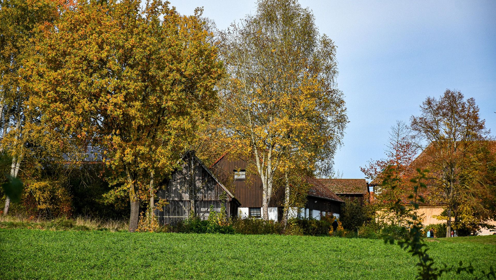 Farmhouse nestled behind trees with colorful fall foliage, set against a blue sky.