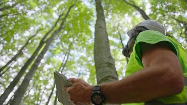 Person in a neon green shirt holding a map in a wooded area under tall trees