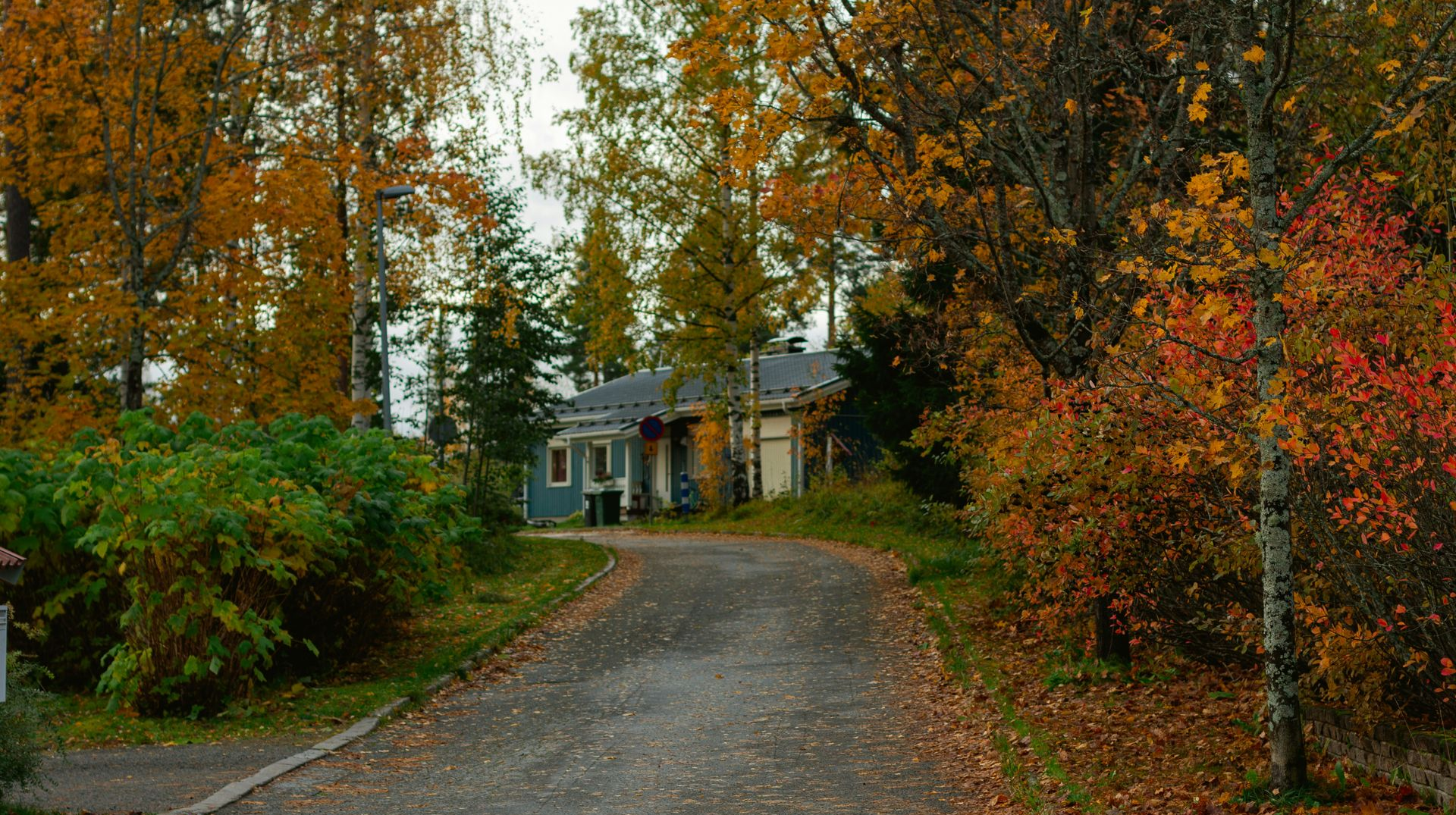 Gravel driveway leads to a small blue house, surrounded by trees with autumn foliage.