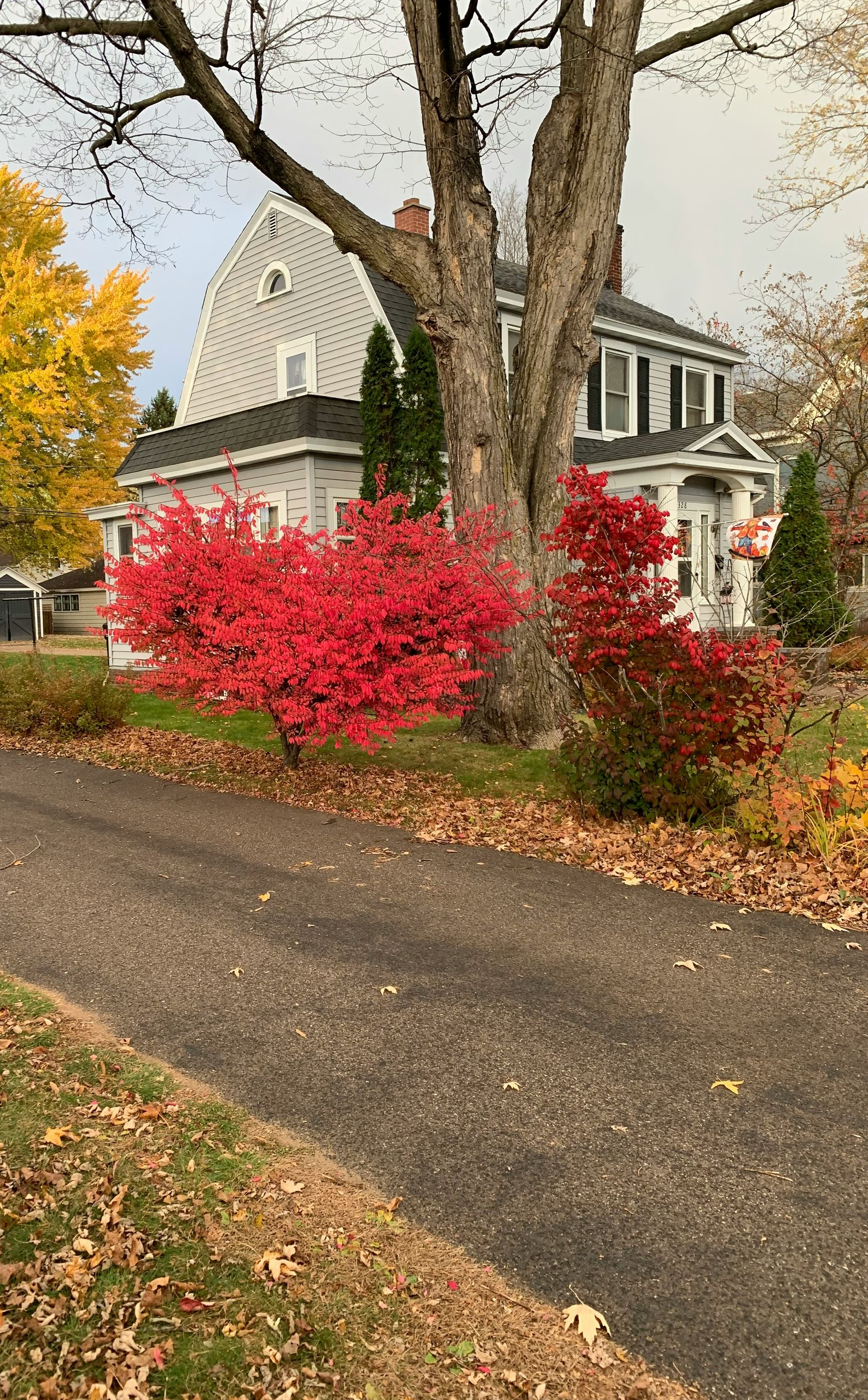 House with red and yellow autumn foliage, gray driveway, and cloudy sky.