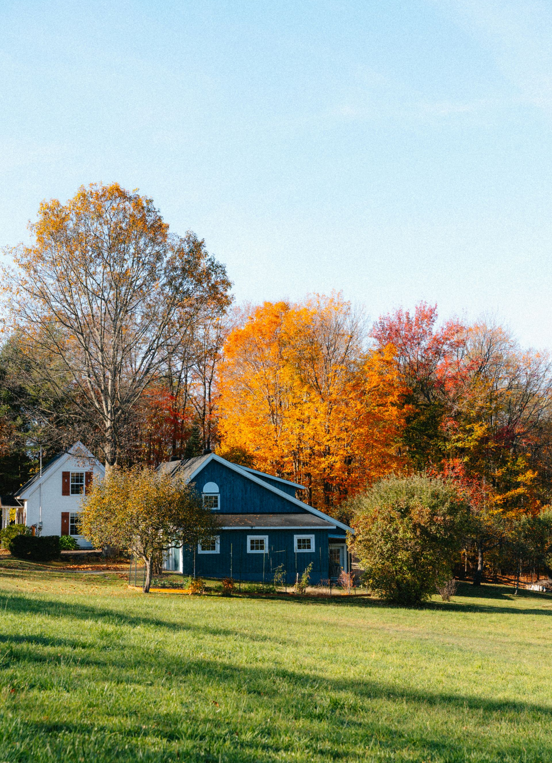 Houses in a green field with colorful autumn trees under a clear blue sky.