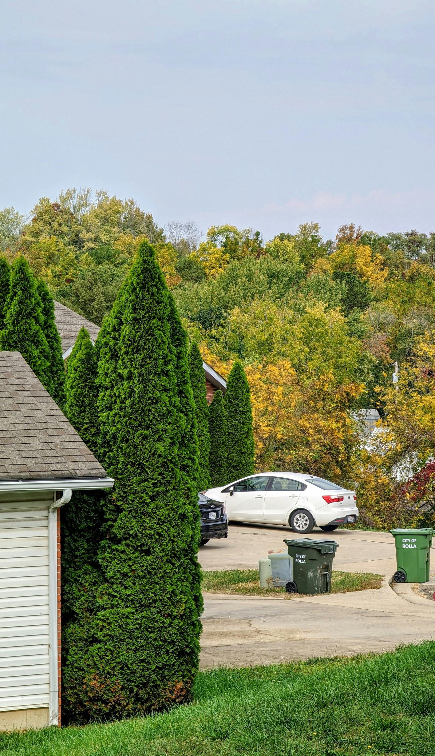 White car parked near green trash cans and evergreen trees, with a roof and wooded background.