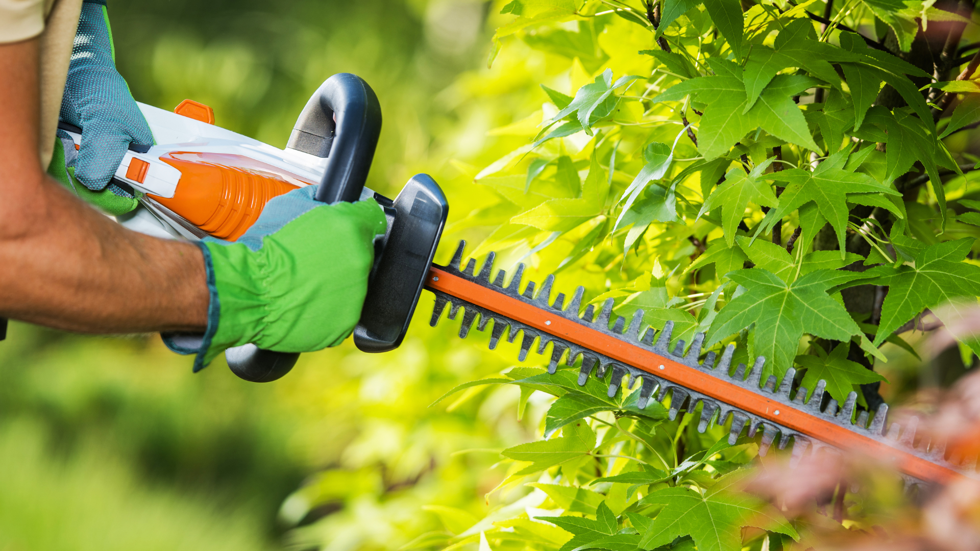 A yellow stump grinder is cutting a tree stump in the grass.