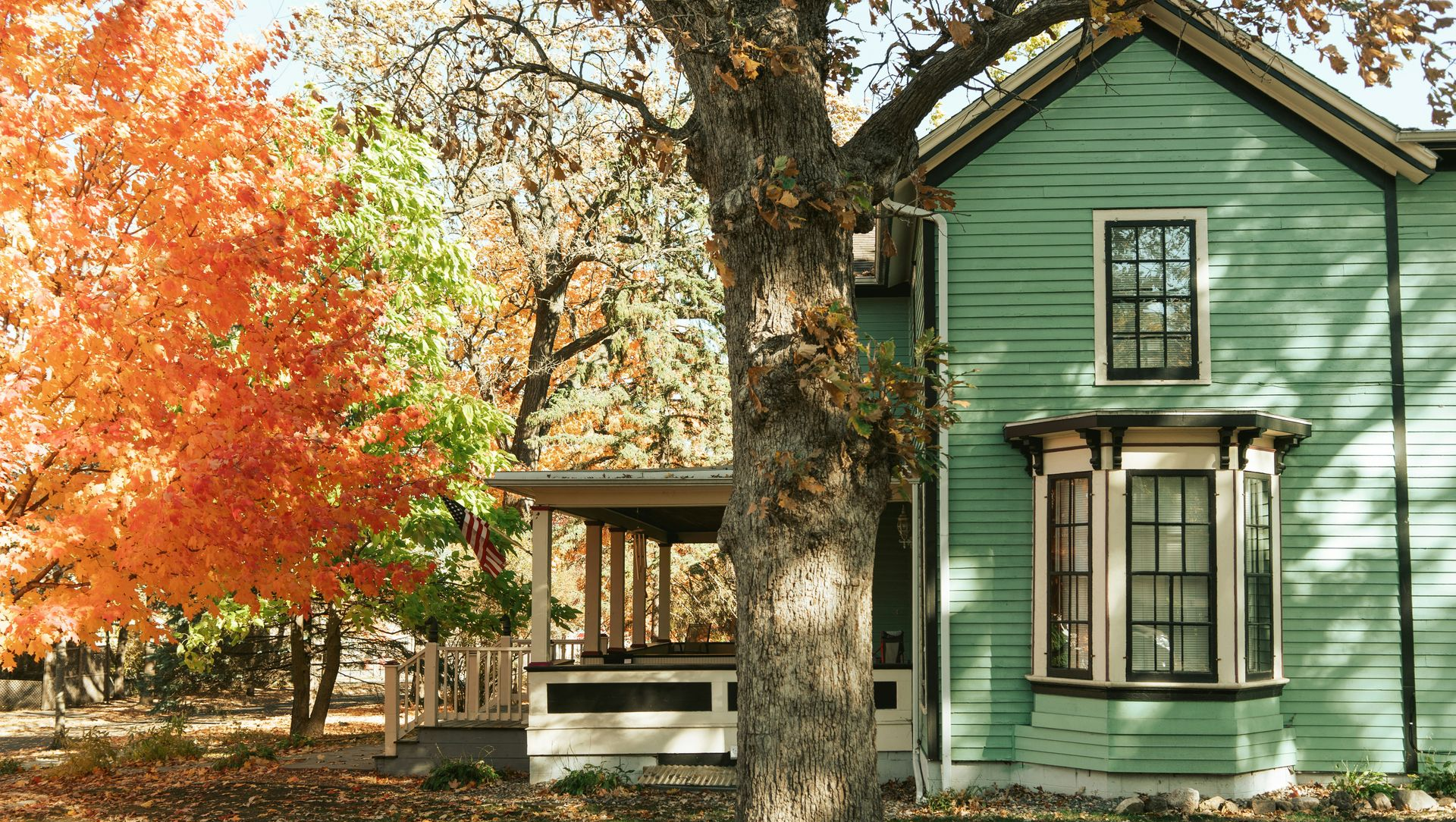 Green house with a bay window next to a tree, fall foliage in the background.