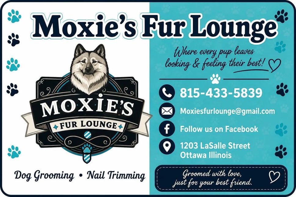 Professional groomer working calmly with a dog at Moxie's Fur Lounge