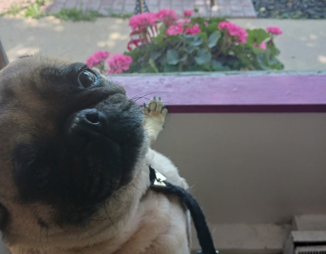 Nail Trimming