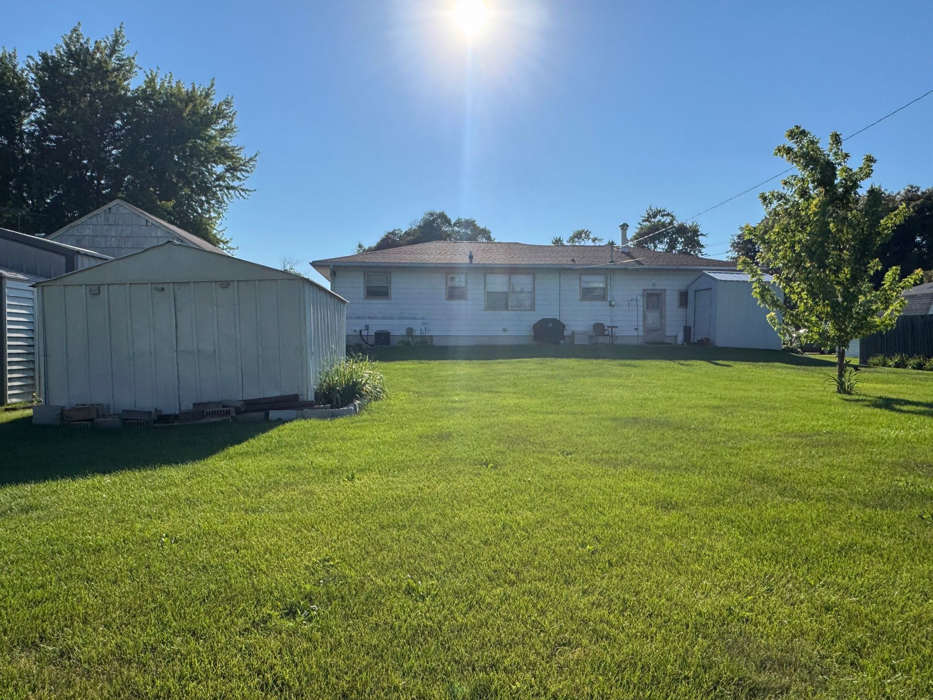 Sunny backyard with a green lawn, white house, and small shed under a clear blue sky.