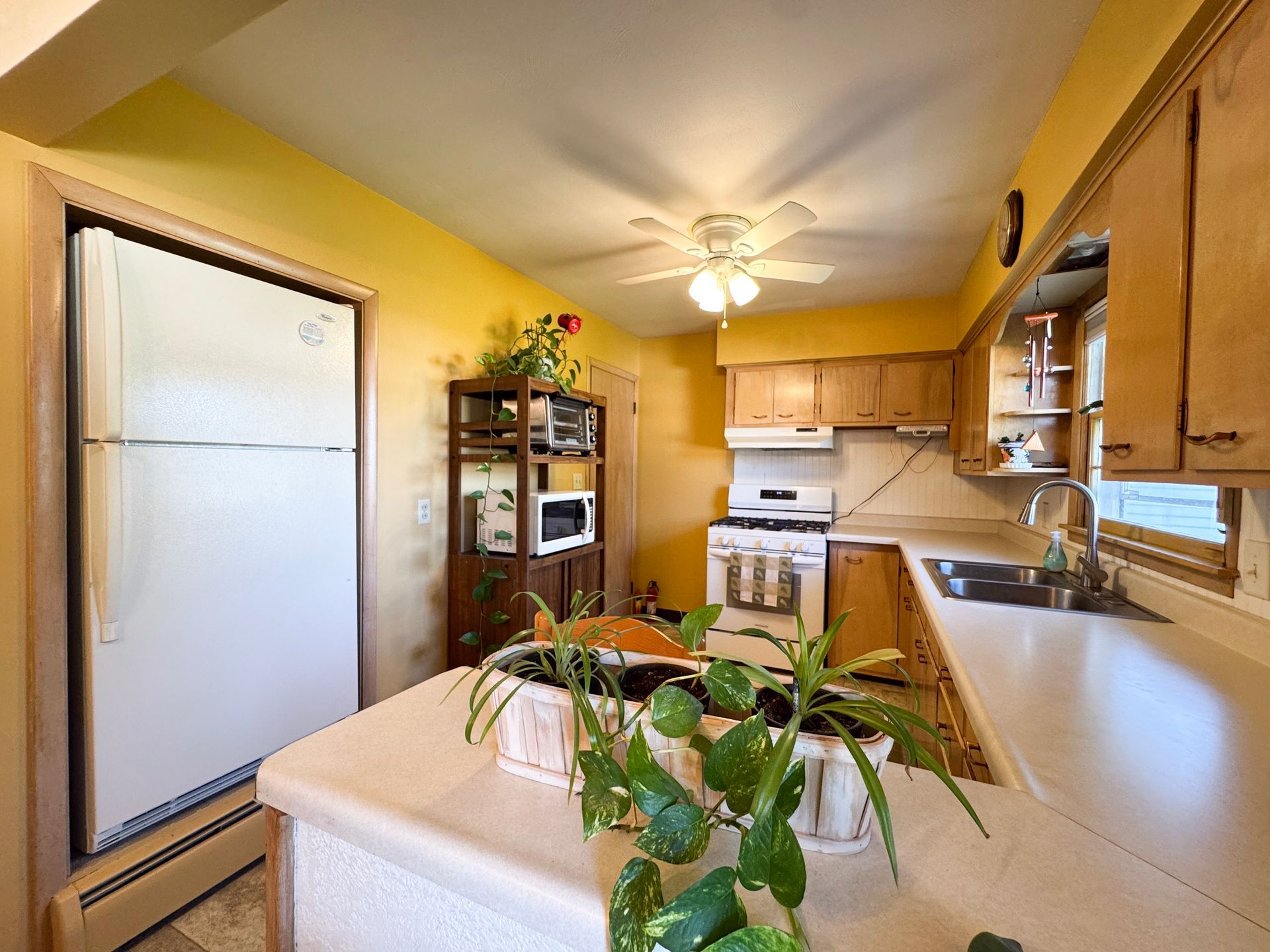 Bright kitchen with white appliances, wood cabinets, yellow walls, and a plant on the counter.