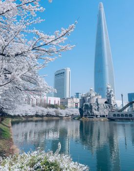 Seoul neighbourhood guide