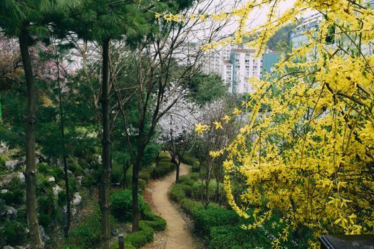 Seoul neighbourhood guide