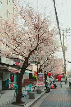Seoul neighbourhood guide