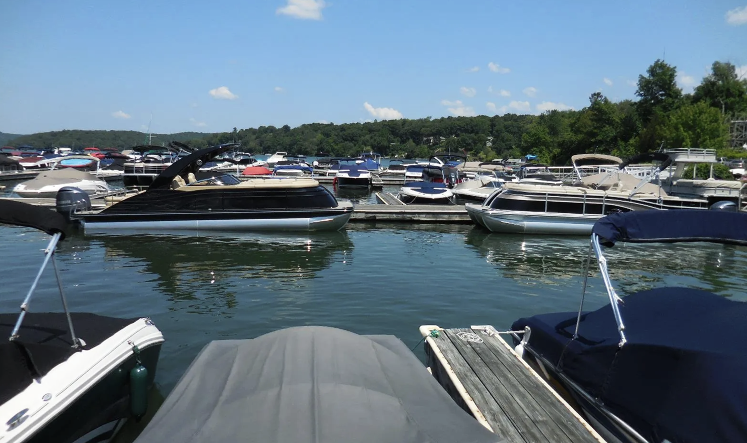 Several boats are docked at a marina on a sunny day