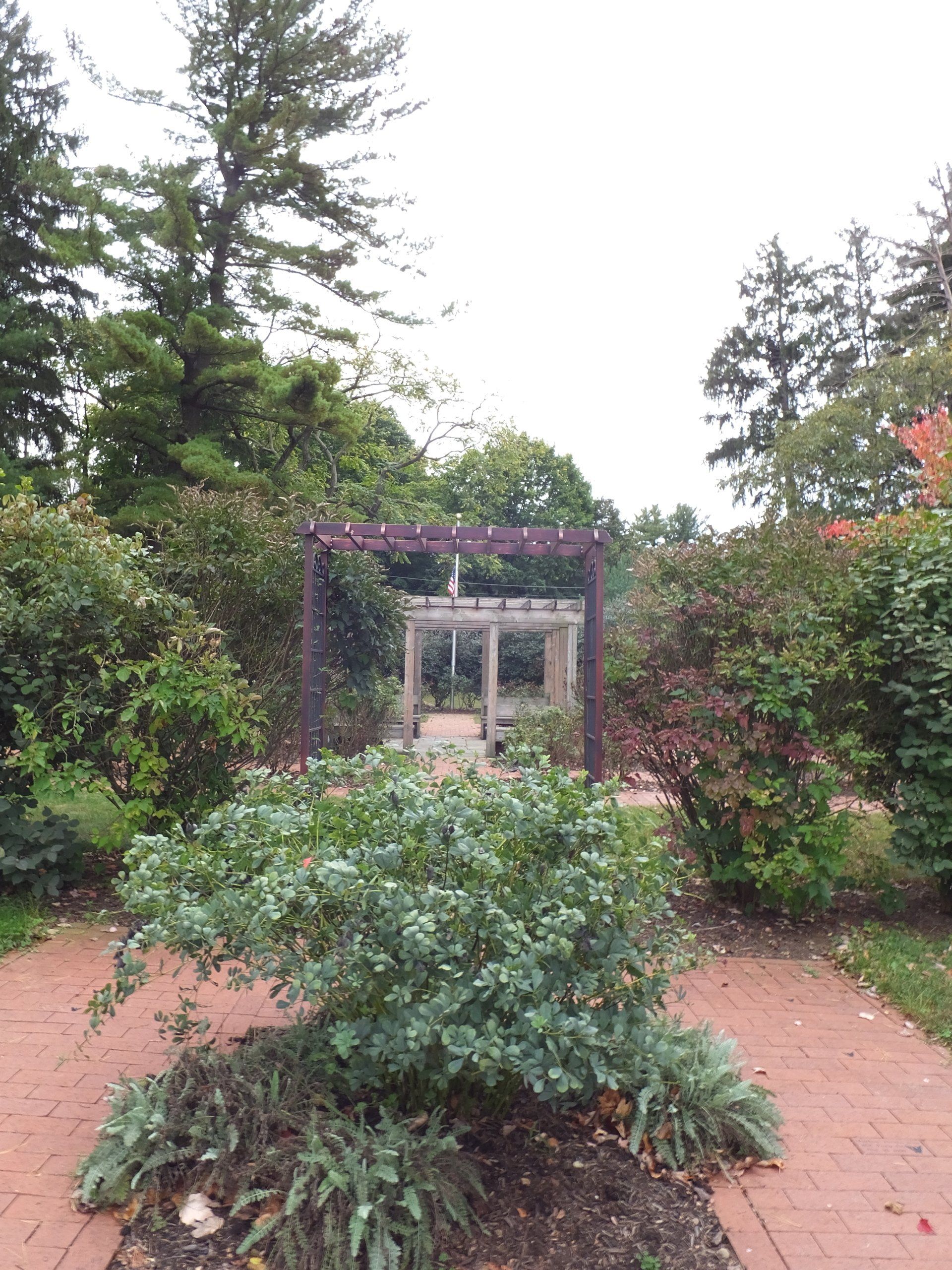 A brick walkway leads through a lush garden toward a dark pergola with a second, lighter-colored trellis structure behind it.