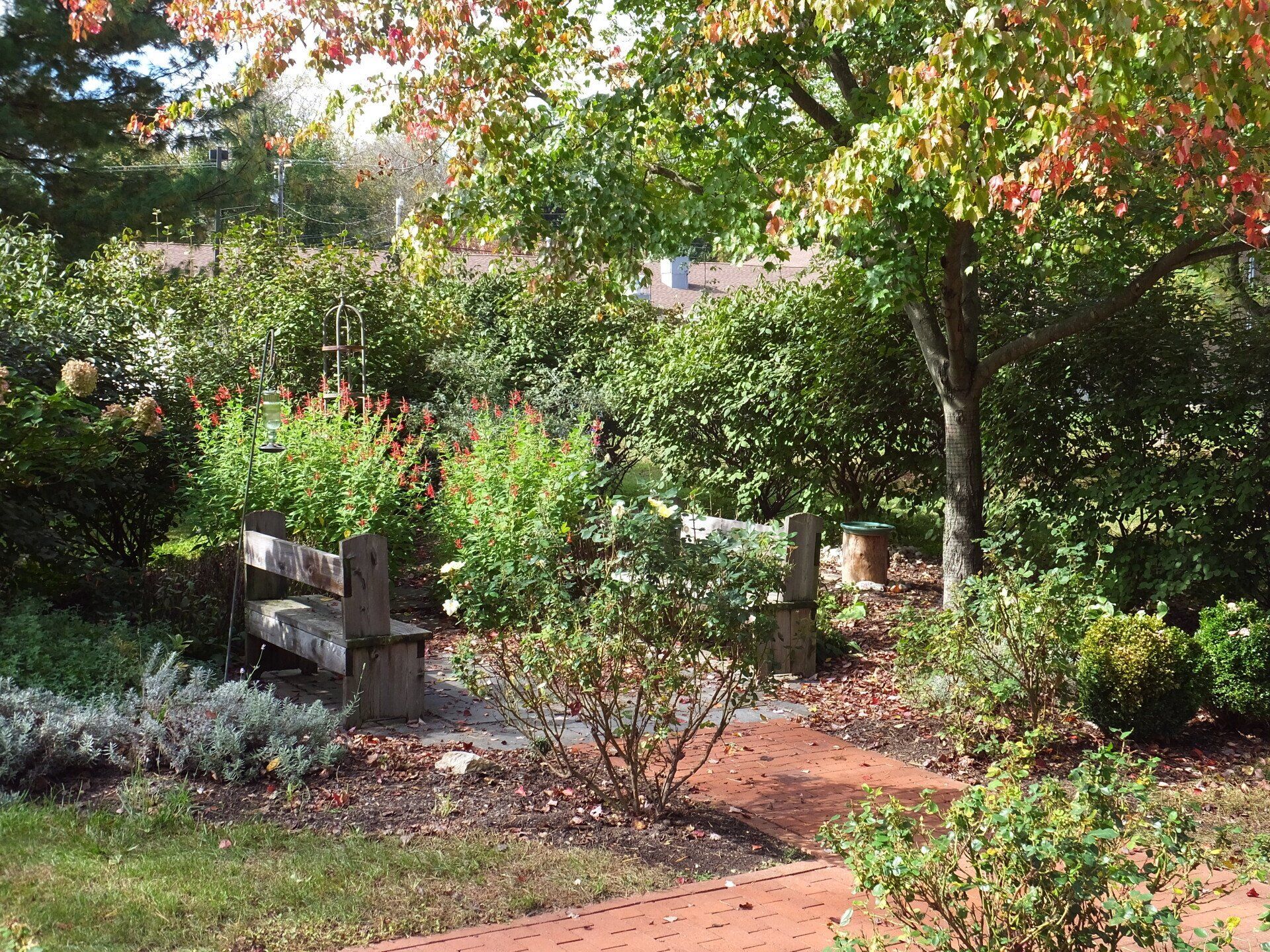 A weathered wooden bench sits in a lush garden with trees, green shrubs, and a red brick path under dappled sunlight.