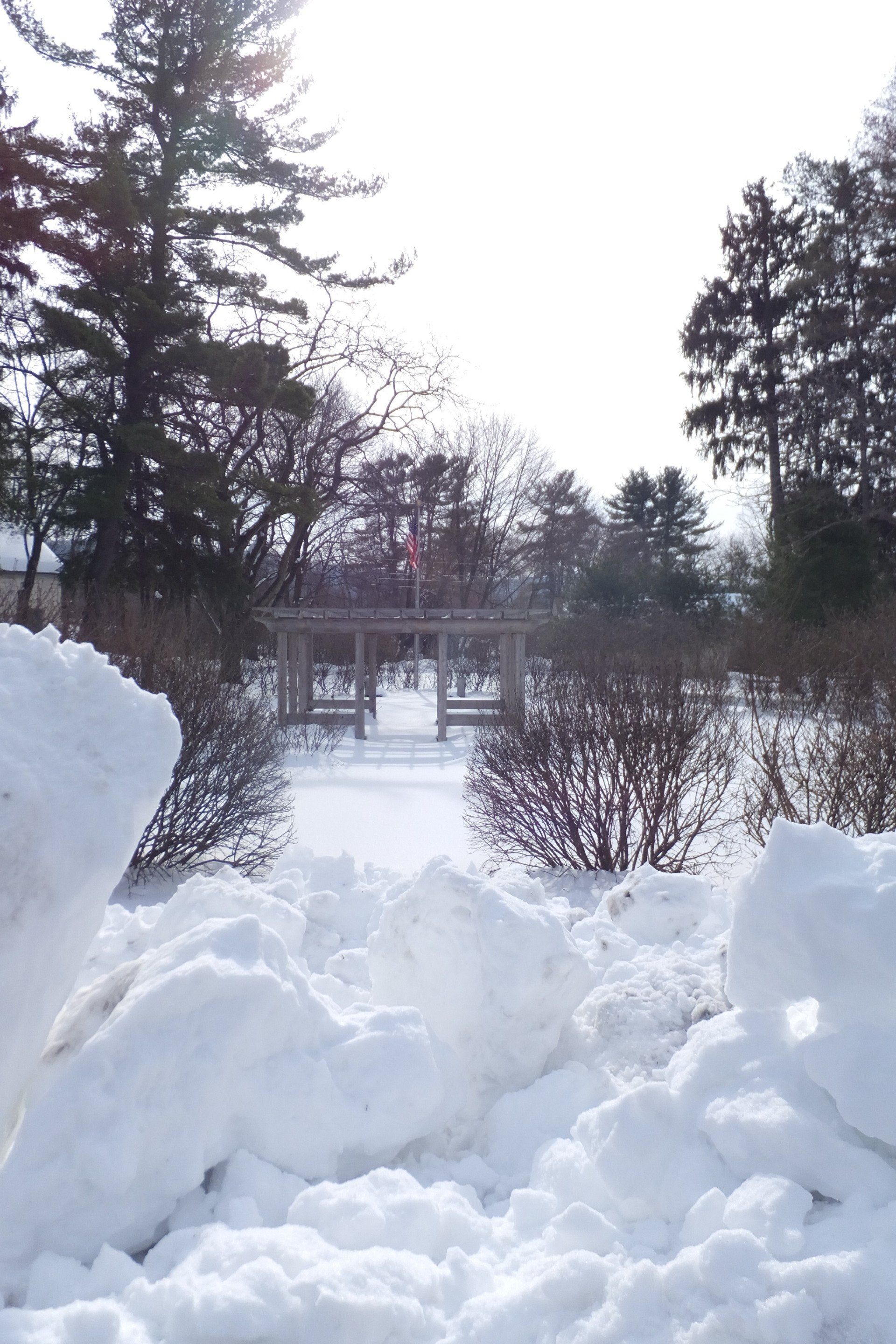 A snowy park scene featuring a wooden pergola and bare bushes under a bright, sunny sky.