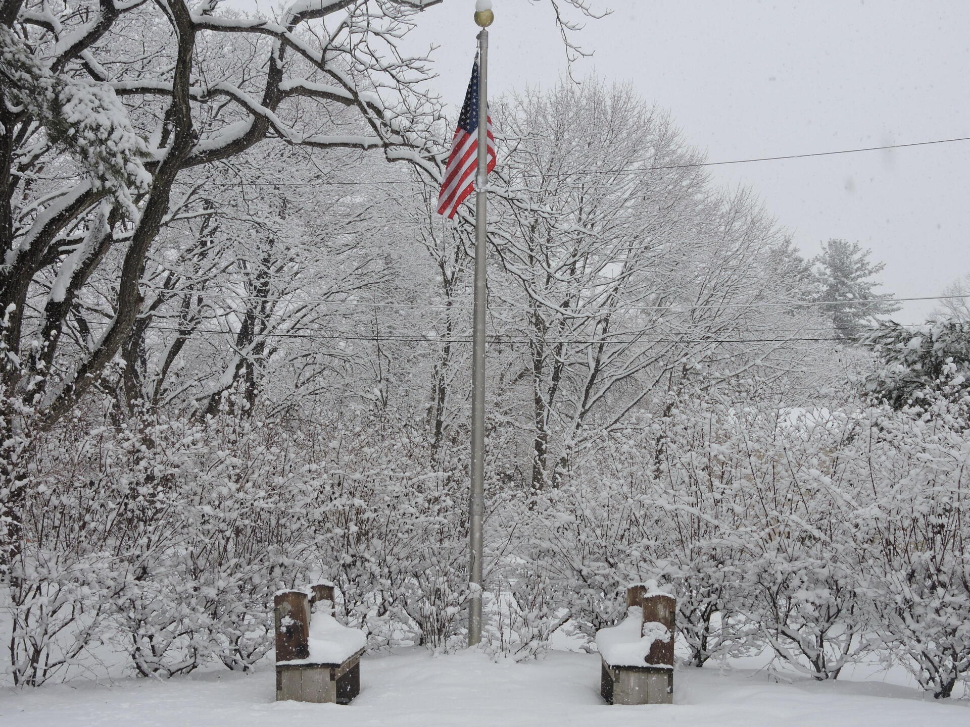 An American flag flies atop a tall pole between two snow-covered benches in a wintery, tree-filled landscape.
